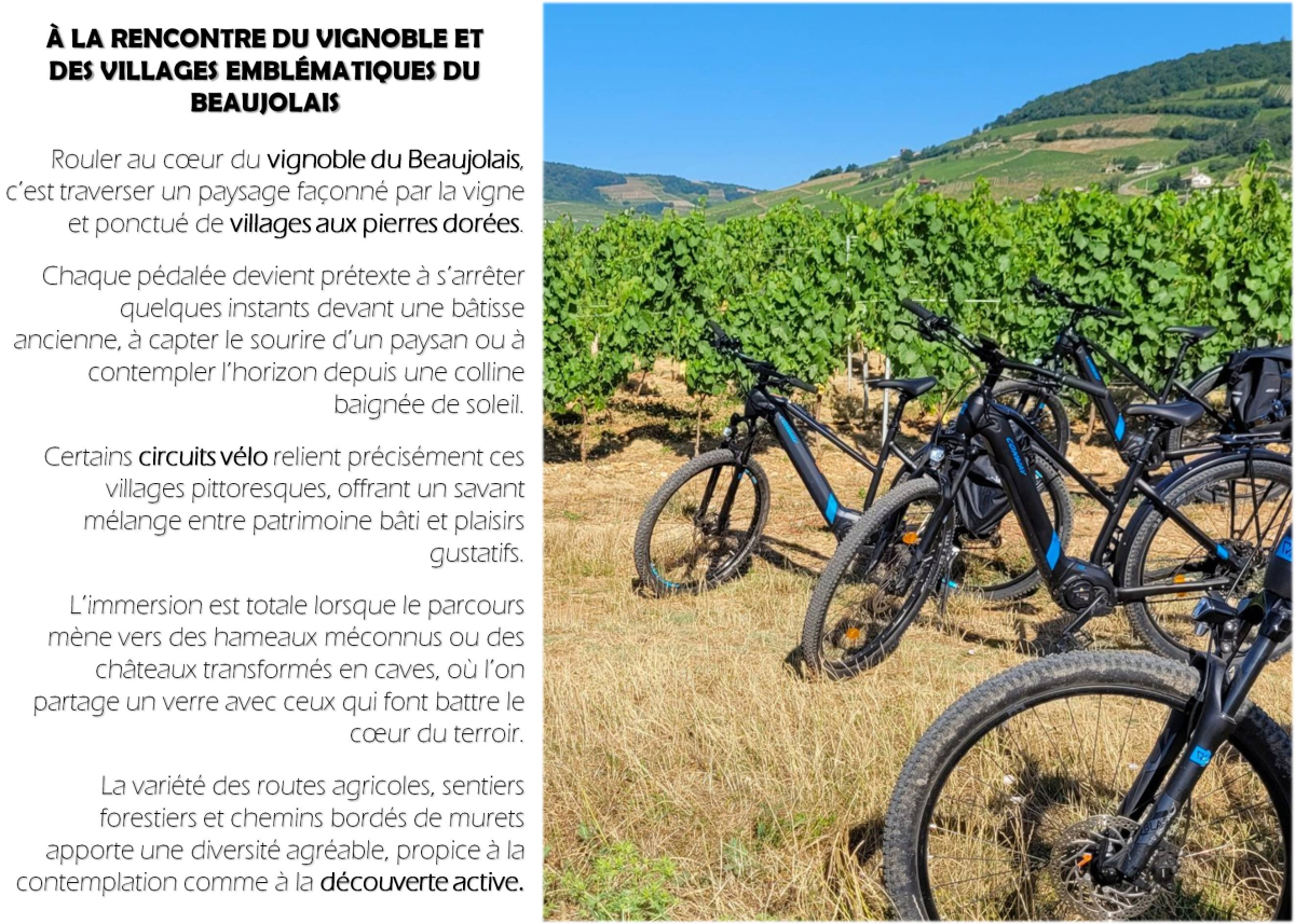 location velo beaujolais hotel le mont brouilly